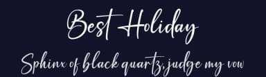 Best Holiday by Sean Type — Script Handwritten Font — thumbnail 2
