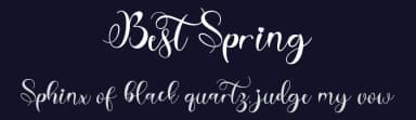 Best Spring by Selvia Design — Script Handwritten Font — thumbnail 2
