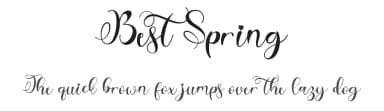 Best Spring by Selvia Design — Script Handwritten Font — thumbnail 1