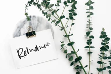 Bestlady Font by Dhan Studio — Script Handwritten Font — thumbnail 3