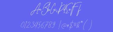 Bestlife by !bey Design — Script Handwritten Font — thumbnail 3