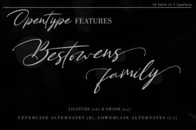 Bestowens Family Font by thomasaradea — Script Handwritten Font — thumbnail 4