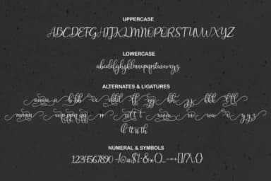 Bestplace Script Font by akifatype — Script Handwritten Font — thumbnail 8