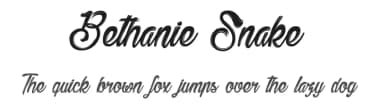 Bethanie Snake by dcoxy - Greg Medina — Script Handwritten Font — thumbnail 1