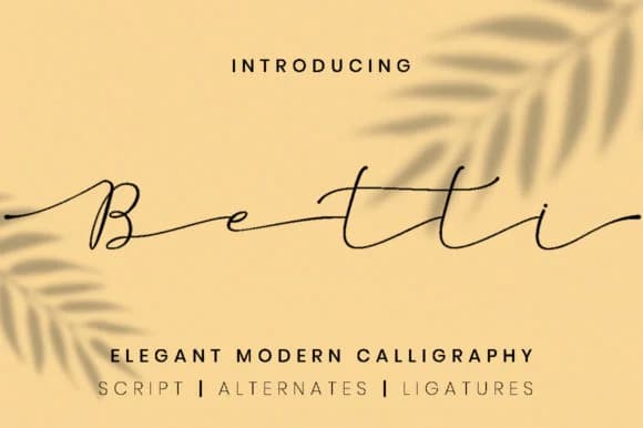Betti Script Font by attypestudio — Serif Font
