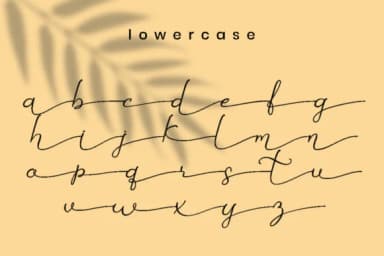 Betti Script Font by attypestudio — Serif Font — thumbnail 6