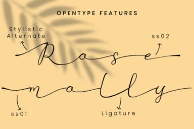 Betti Script Font by attypestudio — Serif Font — thumbnail 8