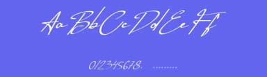Bhenay Signature by Nabila — Script Handwritten Font — thumbnail 3