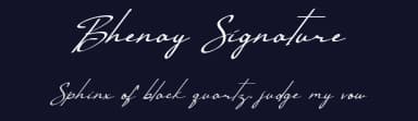 Bhenay Signature by Nabila — Script Handwritten Font — thumbnail 2