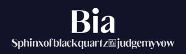 Bia by Bykineks — Serif Font — thumbnail 2
