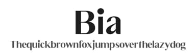 Bia by Bykineks — Serif Font — thumbnail 1