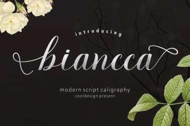 Biancca Script Font by Cooldesignlab — Script Handwritten Font — thumbnail 1