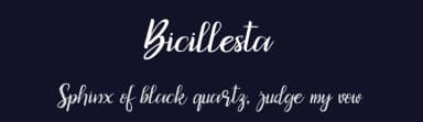 Bicillesta by hikhstudio — Script Handwritten Font — thumbnail 2