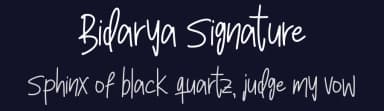 Bidarya Signature by Feri Feriyal — Script Handwritten Font — thumbnail 2
