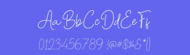 Bidatha Signature by MJType — Script Handwritten Font — thumbnail 3