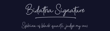 Bidatha Signature by MJType — Script Handwritten Font — thumbnail 2