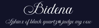 Bidena by twinletter — Script Handwritten Font — thumbnail 2