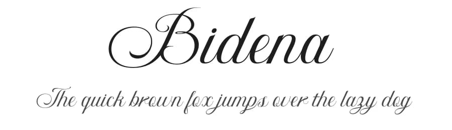 Bidena by twinletter — Script Handwritten Font