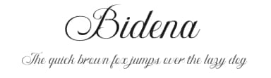 Bidena by twinletter — Script Handwritten Font — thumbnail 1