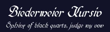 Biedermeier Kursiv by Peter Wiegel — Script Handwritten Font — thumbnail 2