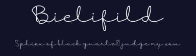 Bielifild by Manjali Studio — Script Handwritten Font — thumbnail 2