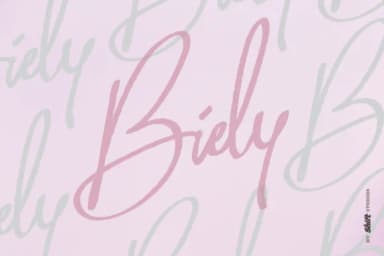 Biely Font by ShiftStudios — Script Handwritten Font — thumbnail 1
