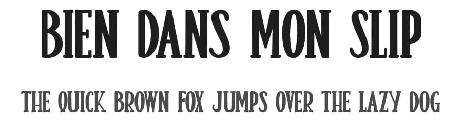 Bien Dans Mon Slip by Octotype  | Thomas Boucherie — Sans Serif Font