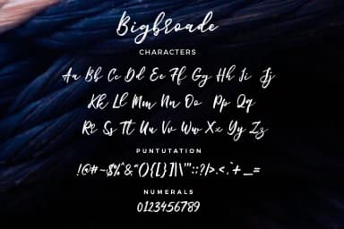 Bigbroade Font by Typia Nesia — Script Handwritten Font — thumbnail 5