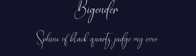 Bigender by Scratchones — Script Handwritten Font — thumbnail 2