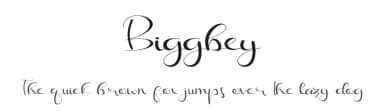 Biggbey by Tiny Hand Letter — Script Handwritten Font — thumbnail 1