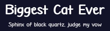 Biggest Cat Ever by Misti's Fonts — Script Handwritten Font — thumbnail 2