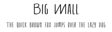 Big Mall by Fontherapy — Script Handwritten Font — thumbnail 1