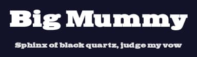 Big Mummy by Manfred Klein — Serif Font — thumbnail 2