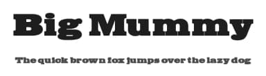 Big Mummy by Manfred Klein — Serif Font — thumbnail 1