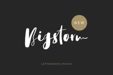 Bigstorm Script Font by letterhend — Script Handwritten Font — thumbnail 1