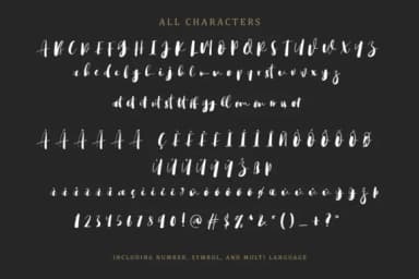 Bigstorm Script Font by letterhend — Script Handwritten Font — thumbnail 7