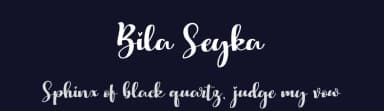 Bila Seyka by StringLabs Creative Studio — Script Handwritten Font — thumbnail 2