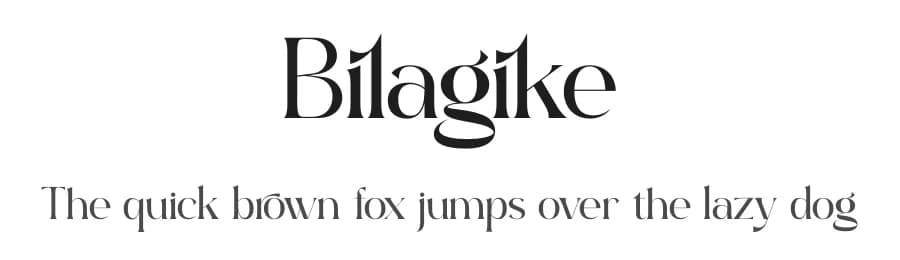 Bilagike by Storytype Studio — Serif Font