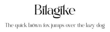Bilagike by Storytype Studio — Serif Font — thumbnail 1