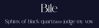 Bile by Sohel Studio — Serif Font — thumbnail 2