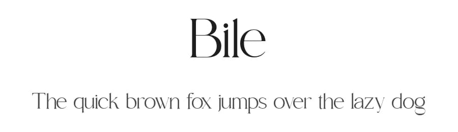 Bile by Sohel Studio — Serif Font