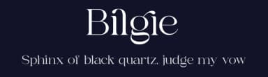 Bilgie by Zeenesia Studio — Serif Font — thumbnail 2
