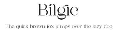 Bilgie by Zeenesia Studio — Serif Font — thumbnail 1