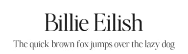 Billie Eilish by Zane Studio — Serif Font — thumbnail 1