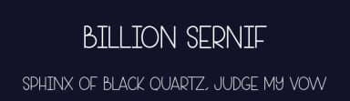 Billion Sernif by Belina Studio — Script Handwritten Font — thumbnail 2