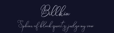 Billkia by Sungi Creative — Script Handwritten Font — thumbnail 2