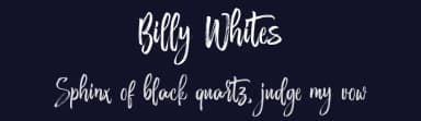 Billy Whites by Debut Studio — Script Handwritten Font — thumbnail 2