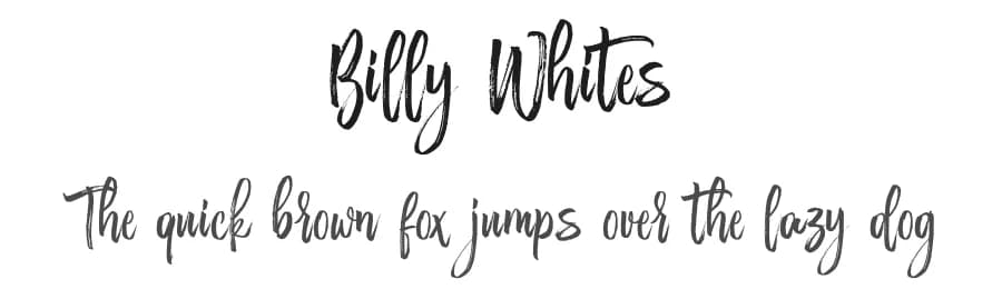 Billy Whites by Debut Studio — Script Handwritten Font — preview 1