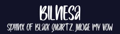 Bilnesa by Skiiller Studio — Script Handwritten Font — thumbnail 2