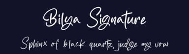 Bilya Signature by MJType — Script Handwritten Font — thumbnail 2